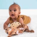 Sweet Soothie Cookie Blanket – 10×10″ - Image 2